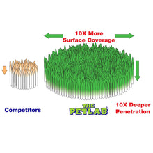 Load image into Gallery viewer, PetLab 10L Artificial Turf / Outdoor Area Disinfectant Ready To Use Formula