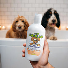 Load image into Gallery viewer, PawLab 2-In-1 Dog Shampoo + Conditioner
