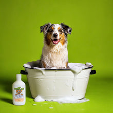 Load image into Gallery viewer, PawLab 2-In-1 Dog Shampoo + Conditioner