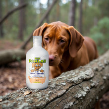 Load image into Gallery viewer, PawLab 2-In-1 Dog Shampoo + Conditioner