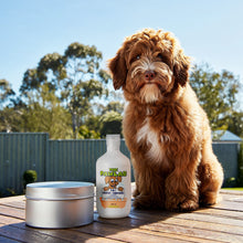Load image into Gallery viewer, PawLab 2-In-1 Dog Shampoo + Conditioner