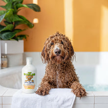 Load image into Gallery viewer, PawLab 2-In-1 Dog Shampoo + Conditioner