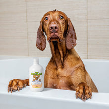 Load image into Gallery viewer, PawLab 2-In-1 Dog Shampoo + Conditioner
