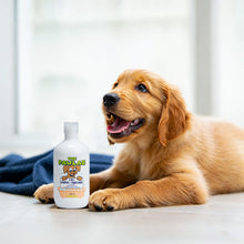 Load image into Gallery viewer, PawLab 2-In-1 Dog Shampoo + Conditioner