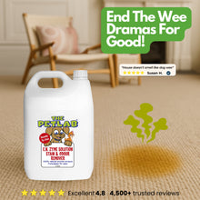 Load image into Gallery viewer, PetLab 5L Urine Stain & Odour Remover Ready To Use Formula