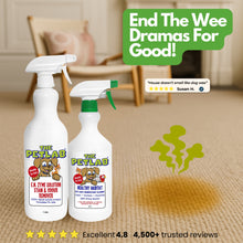 Load image into Gallery viewer, PetLab 1L Urine Stain & Odour Remover + 750ml Healthy Habitat Disinfectant Ready To Use Formula - Starter Pack