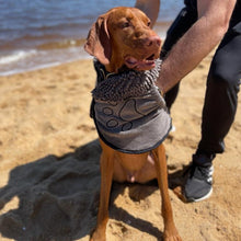 Load image into Gallery viewer, Winter-Ready Doggy Dry Bundle