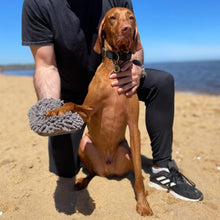 Load image into Gallery viewer, Winter-Ready Doggy Dry Bundle