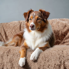 Load image into Gallery viewer, PetLab Grubby Paw Throw Blanket