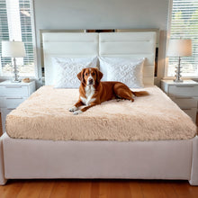 Load image into Gallery viewer, PetLab Grubby Paw Throw Blanket