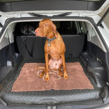 Load image into Gallery viewer, PetLab Grubby Paw Doormat - Traps Dirt Instantly (Ultra Absorbent Microfibre Chenille)
