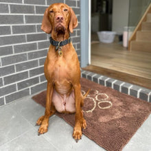 Load image into Gallery viewer, PetLab Grubby Paw Doormat - Traps Dirt Instantly (Ultra Absorbent Microfibre Chenille)