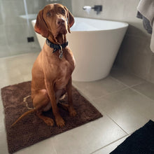 Load image into Gallery viewer, PetLab Grubby Paw Doormat - Traps Dirt Instantly (Ultra Absorbent Microfibre Chenille)