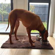 Load image into Gallery viewer, PetLab Grubby Paw Doormat - Traps Dirt Instantly (Ultra Absorbent Microfibre Chenille)