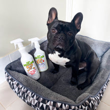 Load image into Gallery viewer, PetLab 1L Urine Stain & Odour Remover + 750ml Healthy Habitat Disinfectant Ready To Use Formula - Starter Pack