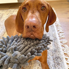 Load image into Gallery viewer, PetLab Grubby Paw Slobber Swabber