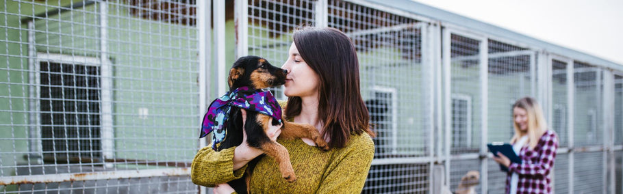 Dog adoption: How to find your fur-ever friend