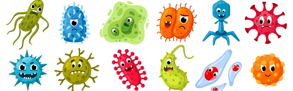 The dirty truth: 5 surprising germ-infested items in your home | PetLab