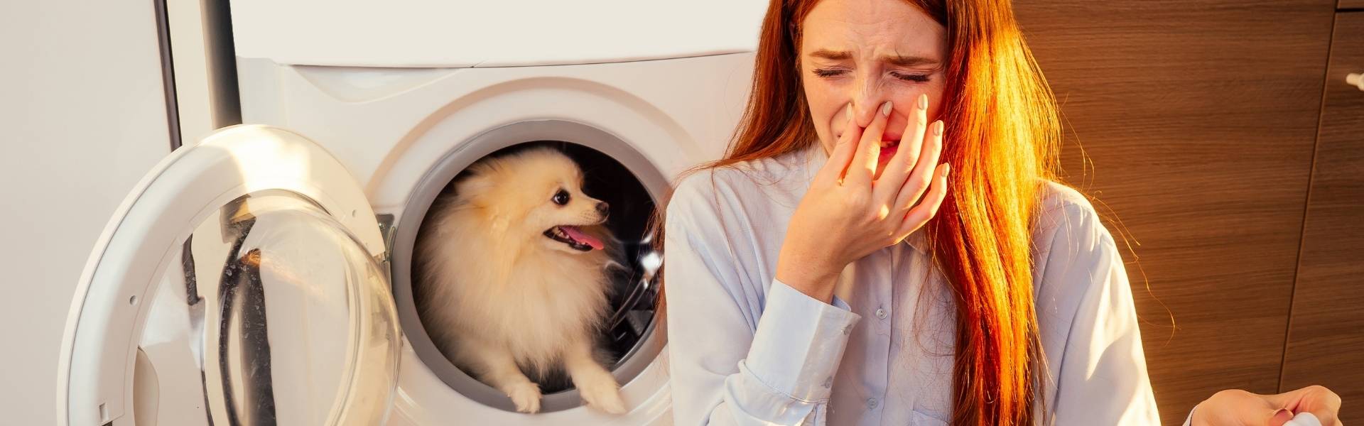 Revealed: The secret to odour-free laundry when you have pets