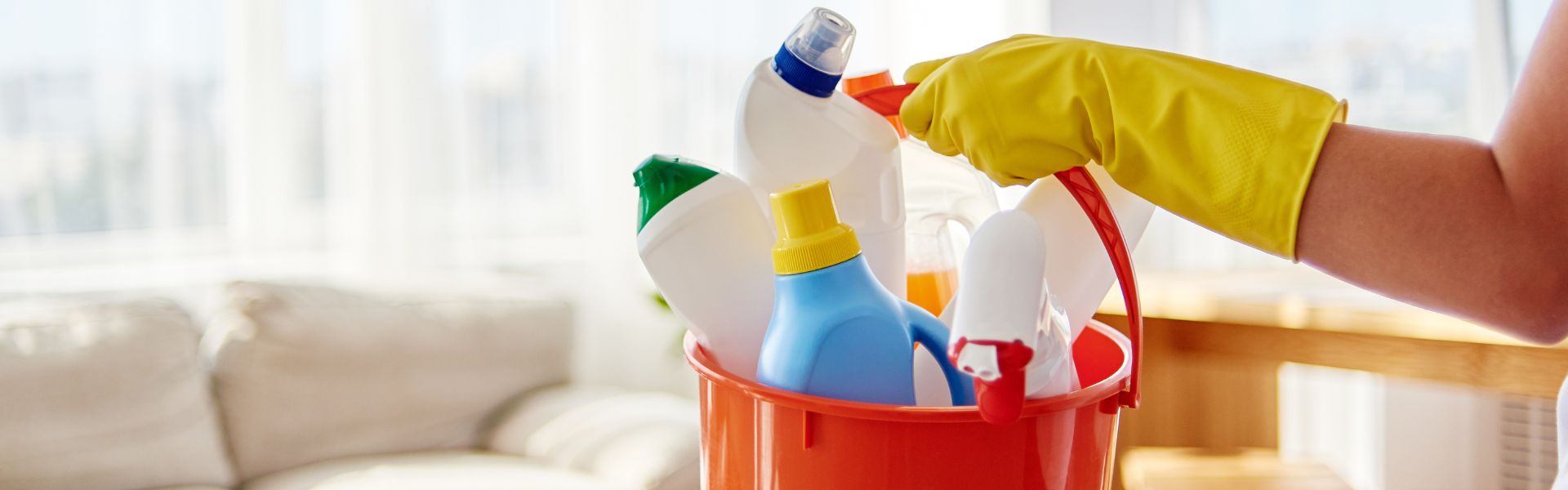 Cleaning supplies can be household dangers for dogs