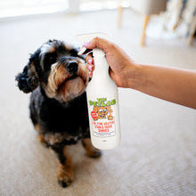 Load image into Gallery viewer, PetLab 1L Urine Stain &amp; Odour Remover Ready To Use Formula