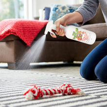 Load image into Gallery viewer, PetLab 1L Urine Stain &amp; Odour Remover Ready To Use Formula