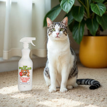 Load image into Gallery viewer, PetLab 1L Urine Stain &amp; Odour Remover Ready To Use Formula