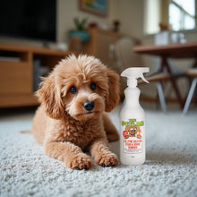 Load image into Gallery viewer, PetLab 1L Urine Stain &amp; Odour Remover Ready To Use Formula