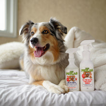 Load image into Gallery viewer, PetLab 1L Urine Stain &amp; Odour Remover + 750ml Healthy Habitat Disinfectant Ready To Use Formula - Starter Pack