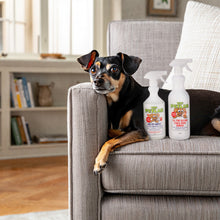 Load image into Gallery viewer, PetLab 1L Urine Stain &amp; Odour Remover + 750ml Healthy Habitat Disinfectant Ready To Use Formula - Starter Pack