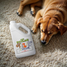 Load image into Gallery viewer, PetLab 2L Eco Carpet Cleaner Shampoo