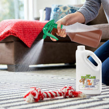 Load image into Gallery viewer, Complete Indoor Cleaning Bundle