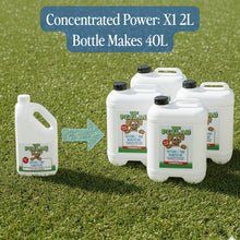 Load image into Gallery viewer, PetLab PLUS™ 2L Artificial Turf / Outdoor Area Disinfectant Super Concentrate (Makes 40L)