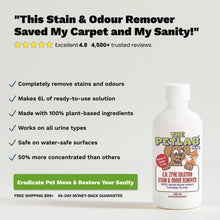 Load image into Gallery viewer, PetLab PLUS™ 300ml Urine Stain &amp; Odour Remover Super Concentrate (Makes 6L)