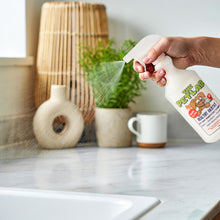 Load image into Gallery viewer, Indoor Surface Clean Bundle