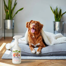 Load image into Gallery viewer, Floor &amp; Surface Pet Cleaning Bundle