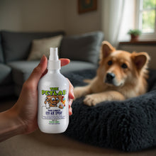 Load image into Gallery viewer, Complete Indoor Cleaning Bundle