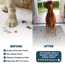 Load image into Gallery viewer, PetLab Grubby Paw Doormat - Traps Dirt Instantly (Ultra Absorbent Microfibre Chenille)