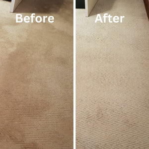 Carpet Cleaning Bundle