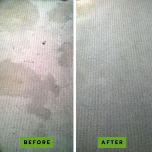 PetLab 2L Eco Carpet Cleaner Shampoo