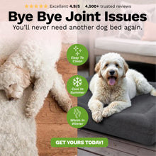 Load image into Gallery viewer, PetLab SeasonSmart™ Orthopaedic Memory Foam Dog Bed