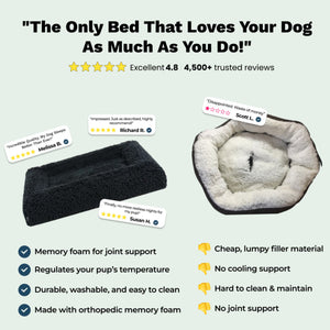 PetLab SeasonSmart™ Orthopaedic Memory Foam Dog Bed