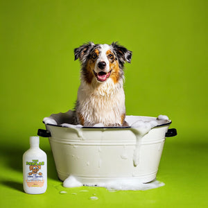 PawLab 2-In-1 Dog Shampoo + Conditioner