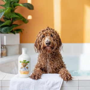 PawLab 2-In-1 Dog Shampoo + Conditioner