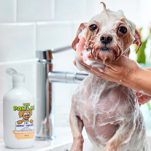 PawLab 2-In-1 Dog Shampoo + Conditioner