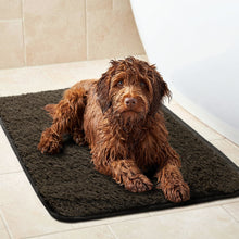 Load image into Gallery viewer, PetLab GrubbyPaw Outdoor Mat