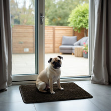 Load image into Gallery viewer, PetLab GrubbyPaw Outdoor Mat