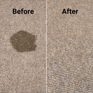 Carpet Cleaning Bundle