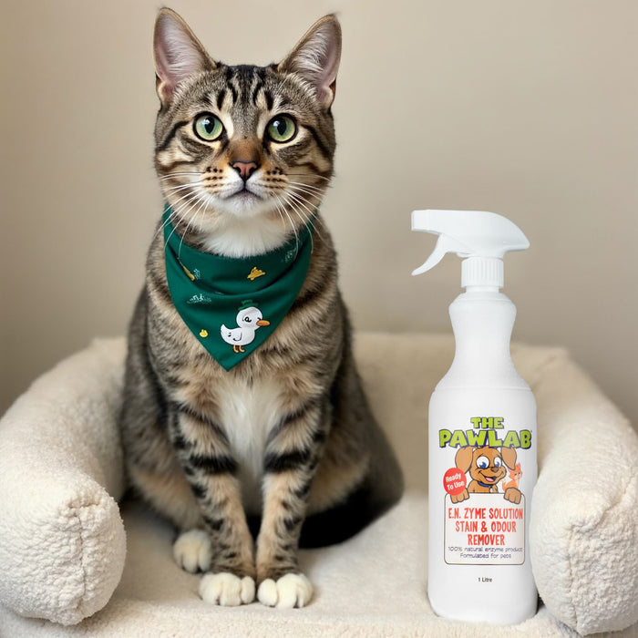 PawLab Urine Stain & Odour Remover