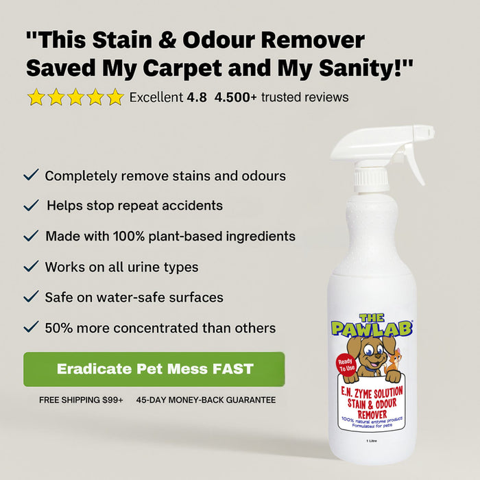 PawLab Urine Stain & Odour Remover